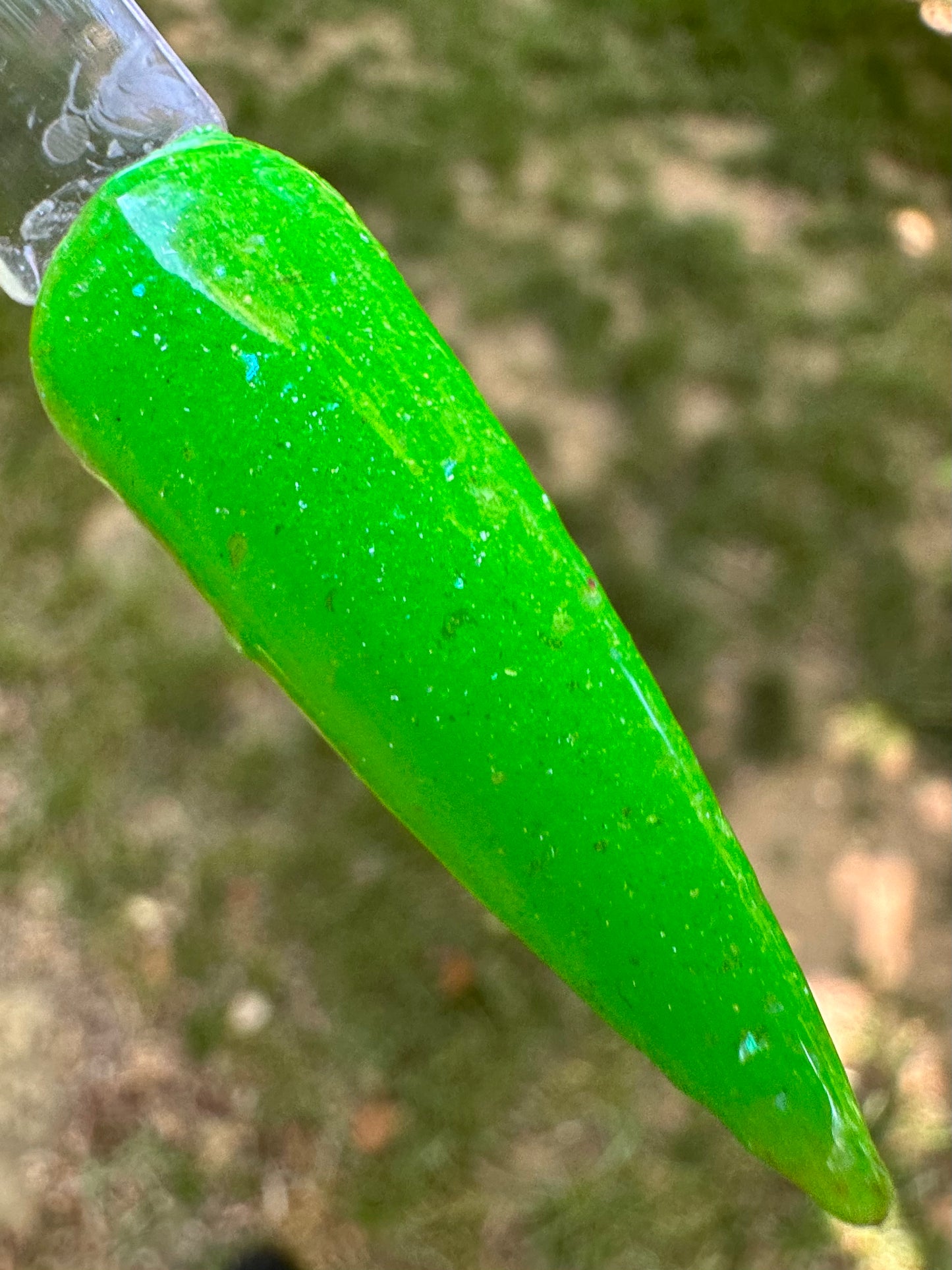 Frog In a Blender