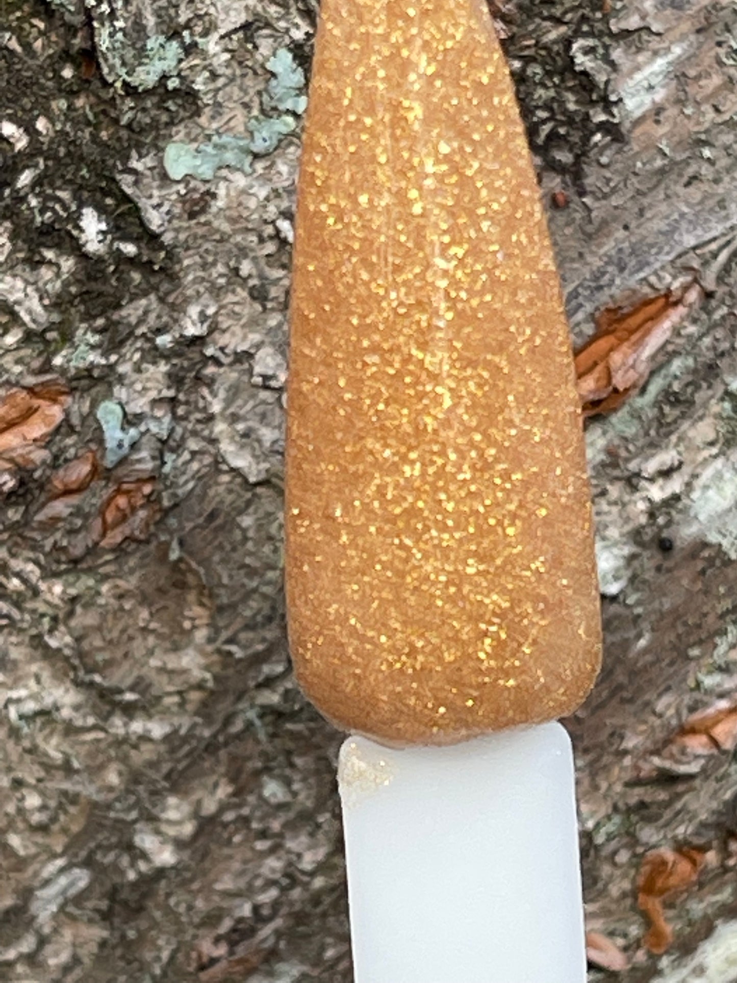 Gold Digger